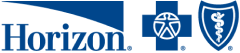 Blue Cross Blue Shield